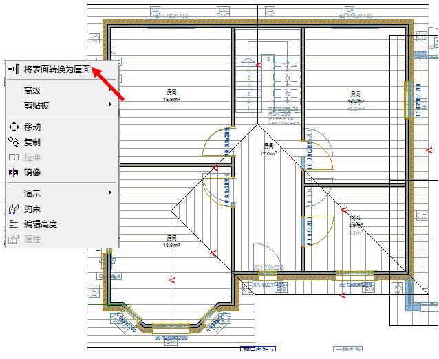 将表面转换为屋面.jpg